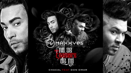 2017* Chacal feat Don Omar - No te enamores de mi