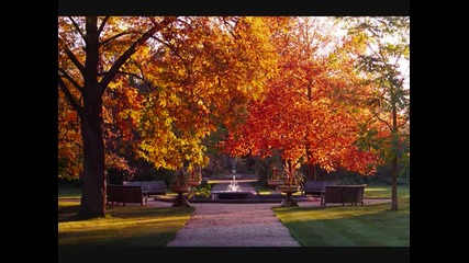 Yiruma-autumn Scene