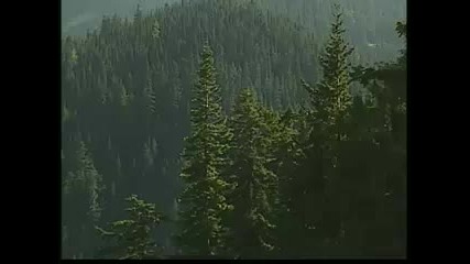 Olympic National Park Pt.2 