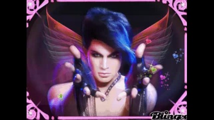 Adam Lambert Halo 