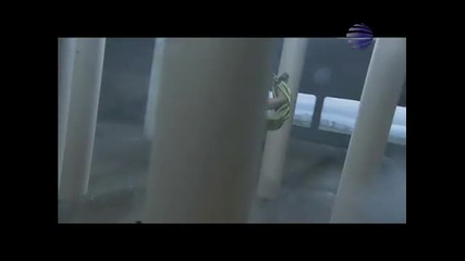 2010 Глория - Целувай още