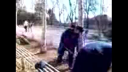 Копачите На Градината Пред Даскало