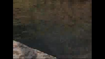 Тези Се Забавляват Яко