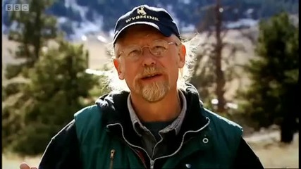 How dinosaurs might have evolved - Horizon - Bbc 