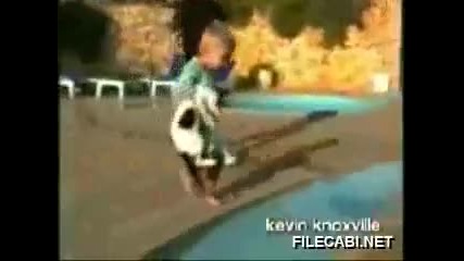 Тая котка ебати номера извъртя на това хлапе!!! (смях)