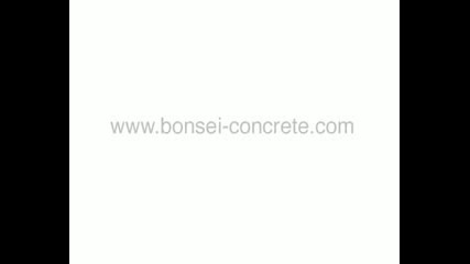 Bonsei Concrete Fingerboard Ramps
