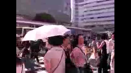 Japanese Umbrellas Kasa or Higasa 