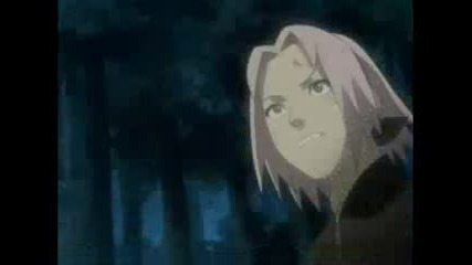 narusaku vs kakashi (+bonus lee i neji )