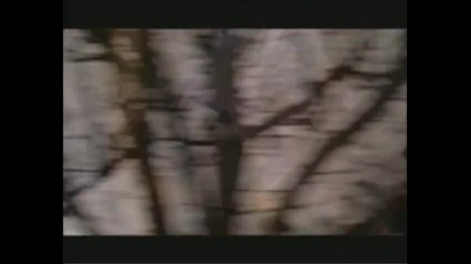 Roxette - Fading Like A Flower