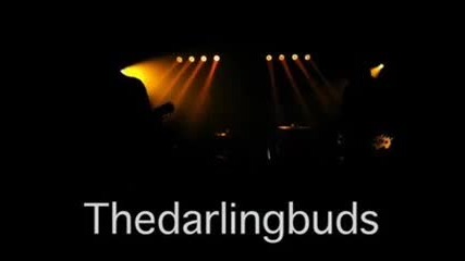The Darling Buds - Where Did all my freinds go (jamie Cambell Bower) Lyrics!