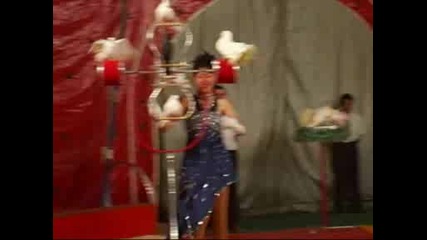 дресура на гълаби Мадам Марго - цирк Ориент