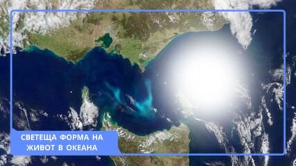 Ново откритие на НАСА:  Светеща форма на живот в океана, видима от космоса👀😱