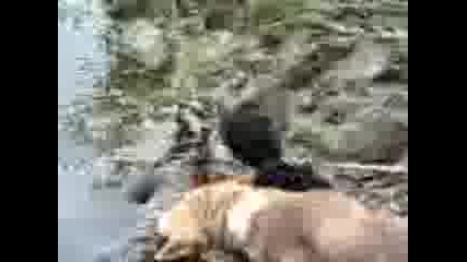 Cuneyt.3gp