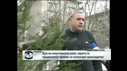 Бум на изкуствените елхи в Пловдив