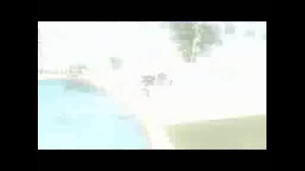 [24] Free Fall