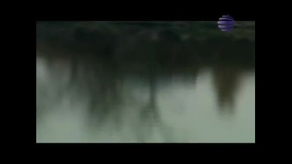 Preslava - Chervena tochka