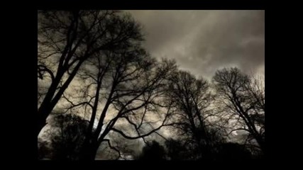 Nargaroth Winter