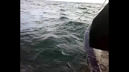 риболов на карагьоз Равда