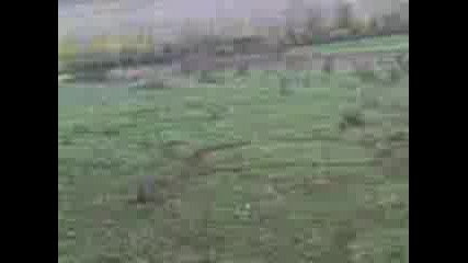Moto Crosss S.p4eli6te 3