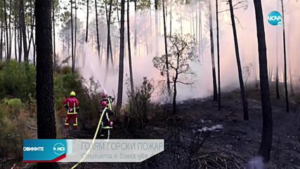 1200 пожарникари гасят огъня край Сен Тропе