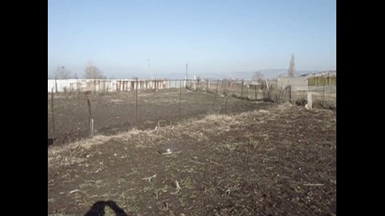 Изстрелване На Тенджера С Пиратка