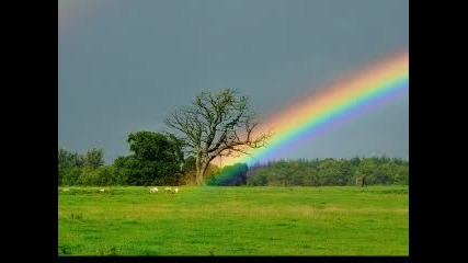 over the raimbow