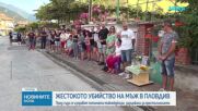 Убийството в Пловдив: Съдът гледа мерките на задържаните