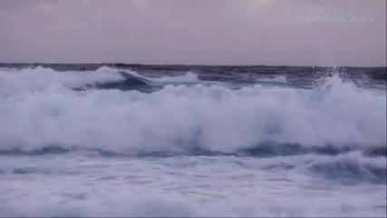 Felipe Campuzano - Las Salinas