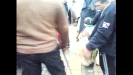 kukeriv den sredec 2014 peio