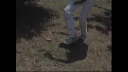 Dragon Ball Real Life 2 