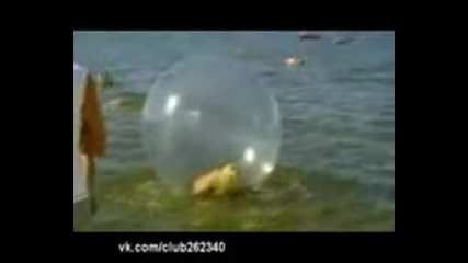 Внимание !!! Блондинка зад волана (смях)