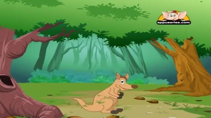 Как прави кенгуруто - За деца 