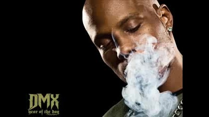 Dmx - Goodbye