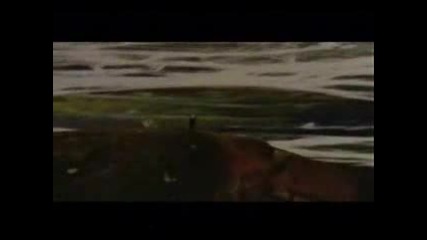 Laura Pausini - Inolvidable