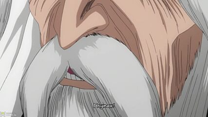 Bleach ep 216 bg sub