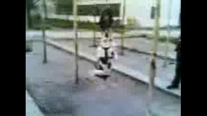 11052008.3gp