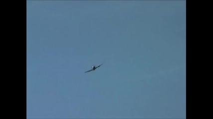 P-47 rc plane video