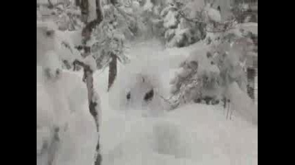 Snowgods Trailer
