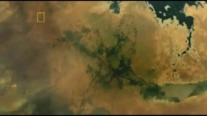 National - Geographic - Planet - Carnivore - (2007) - Lion - 1 - 5 