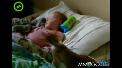 Генезис бебета !!!
