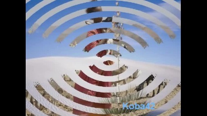 Пустинни цветя..