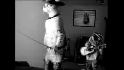 Le chat bott 
