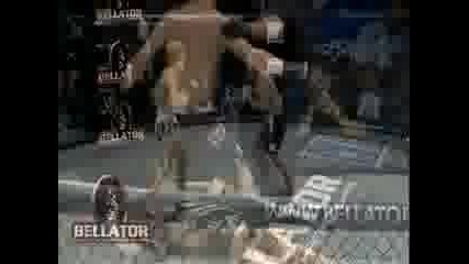 Bellator Xi Highlight