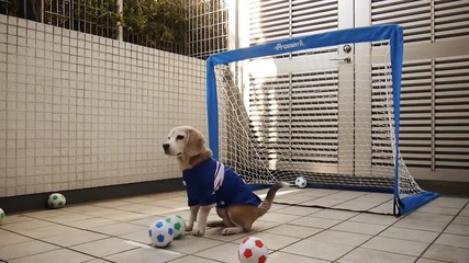 Куче вратар подлуди футболните фенове в социалните мрежи.