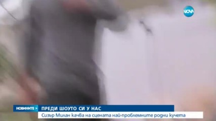 Как да изпратим кучето си при най-добрия треньор в света?