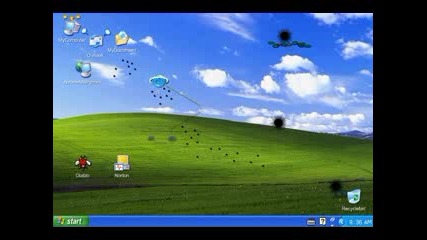 Icon Story