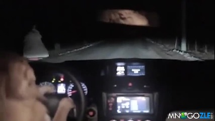 Куче краде кола