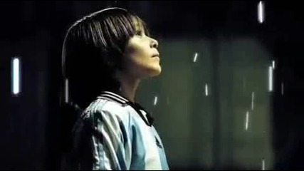 The Spark - adidas 
