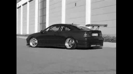 Calibra Show