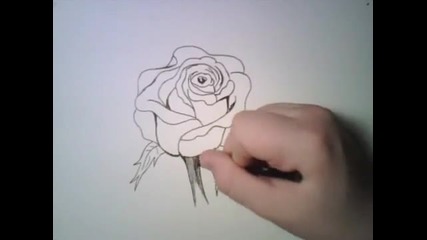 Как да нарисуваме роза 